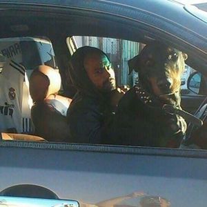 Meet your Posher, Luisrey